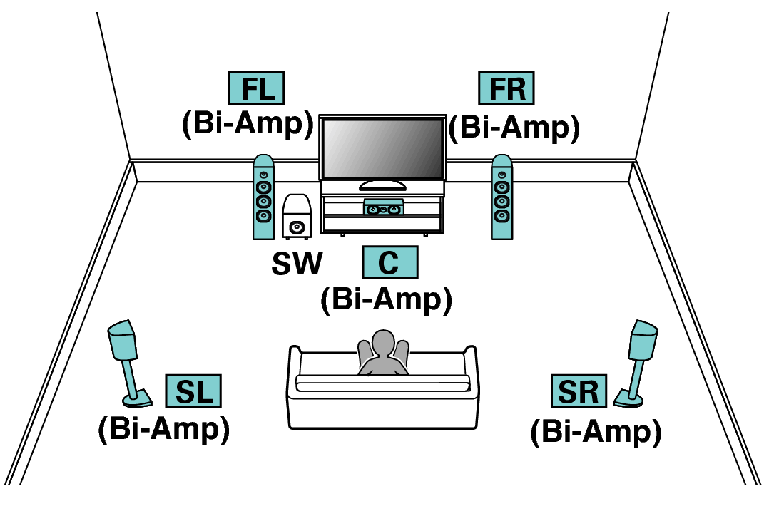 Pict SP Layout 5.1 BiAmp X64